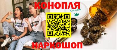 бошки Шелехов